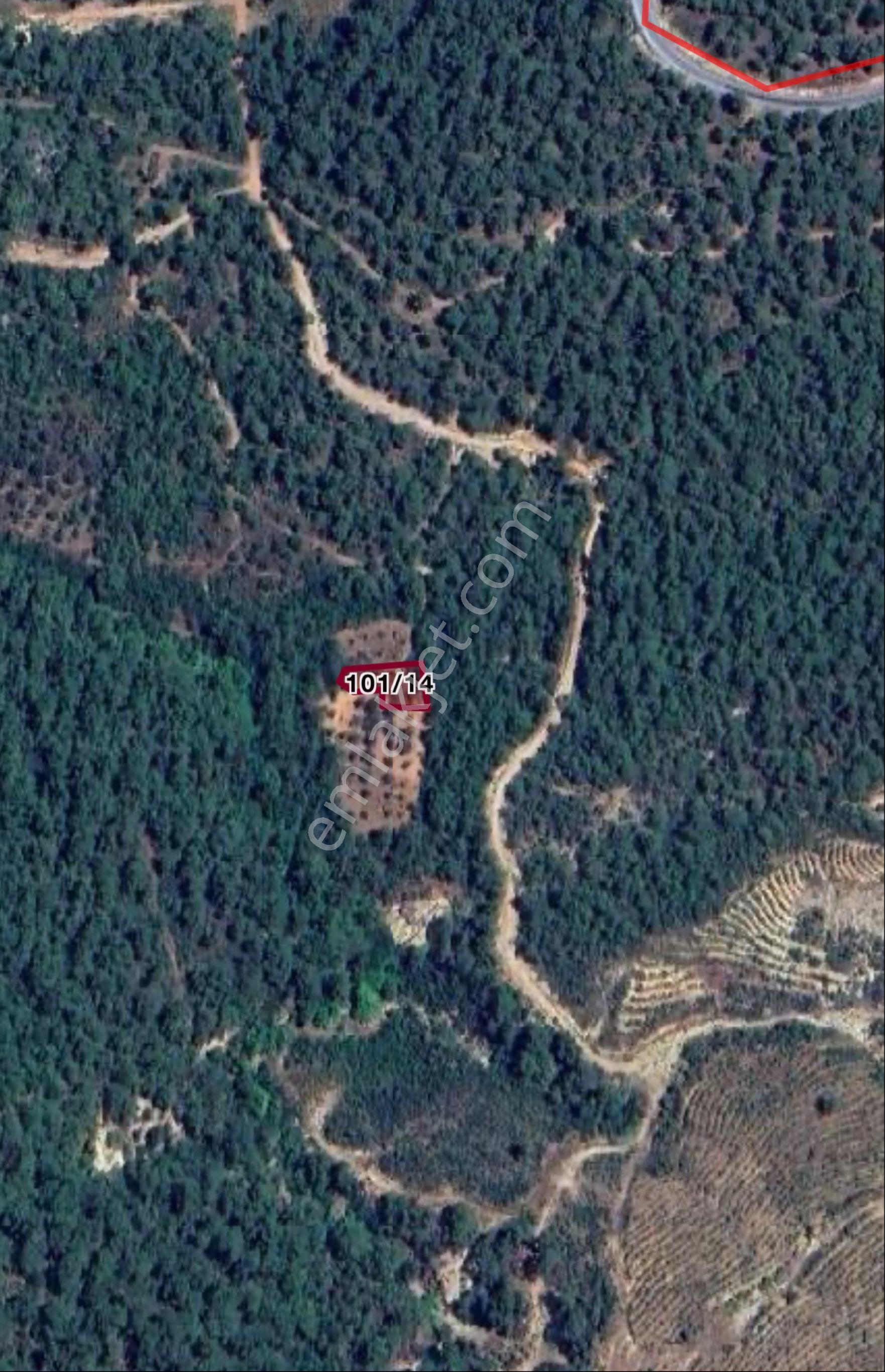 Havran Karaoğlanlar’da Araç Takaslı 515 M² Zeytinlik - Görsel 2