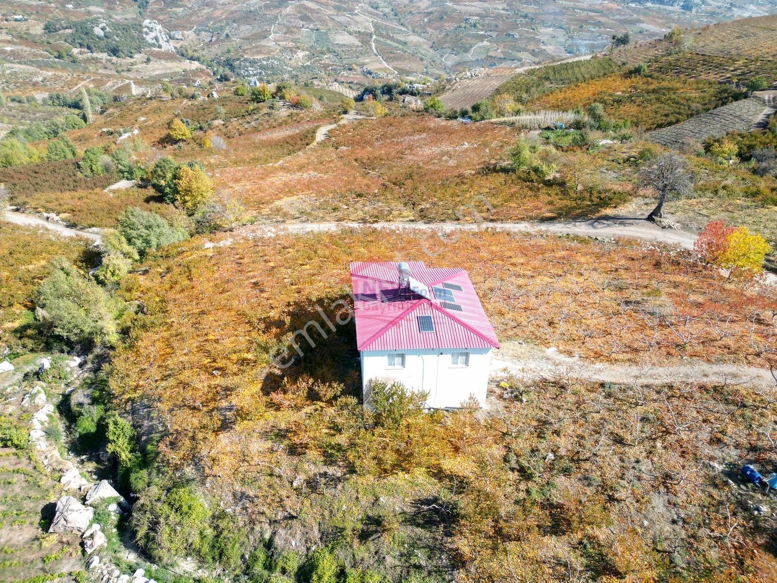 New Form Dan Mezitli Tepeköyde Satılık Nektarin Bahçesi Ve Ev - Görsel 30
