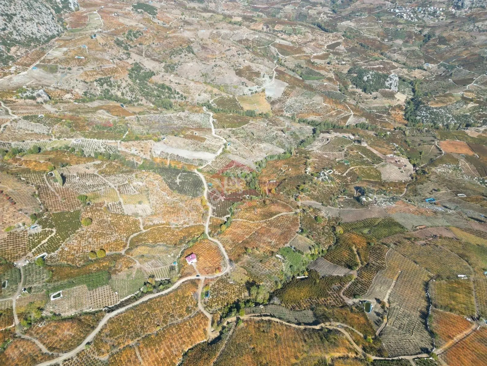New Form Dan Mezitli Tepeköyde Satılık Nektarin Bahçesi Ve Ev - Görsel 2