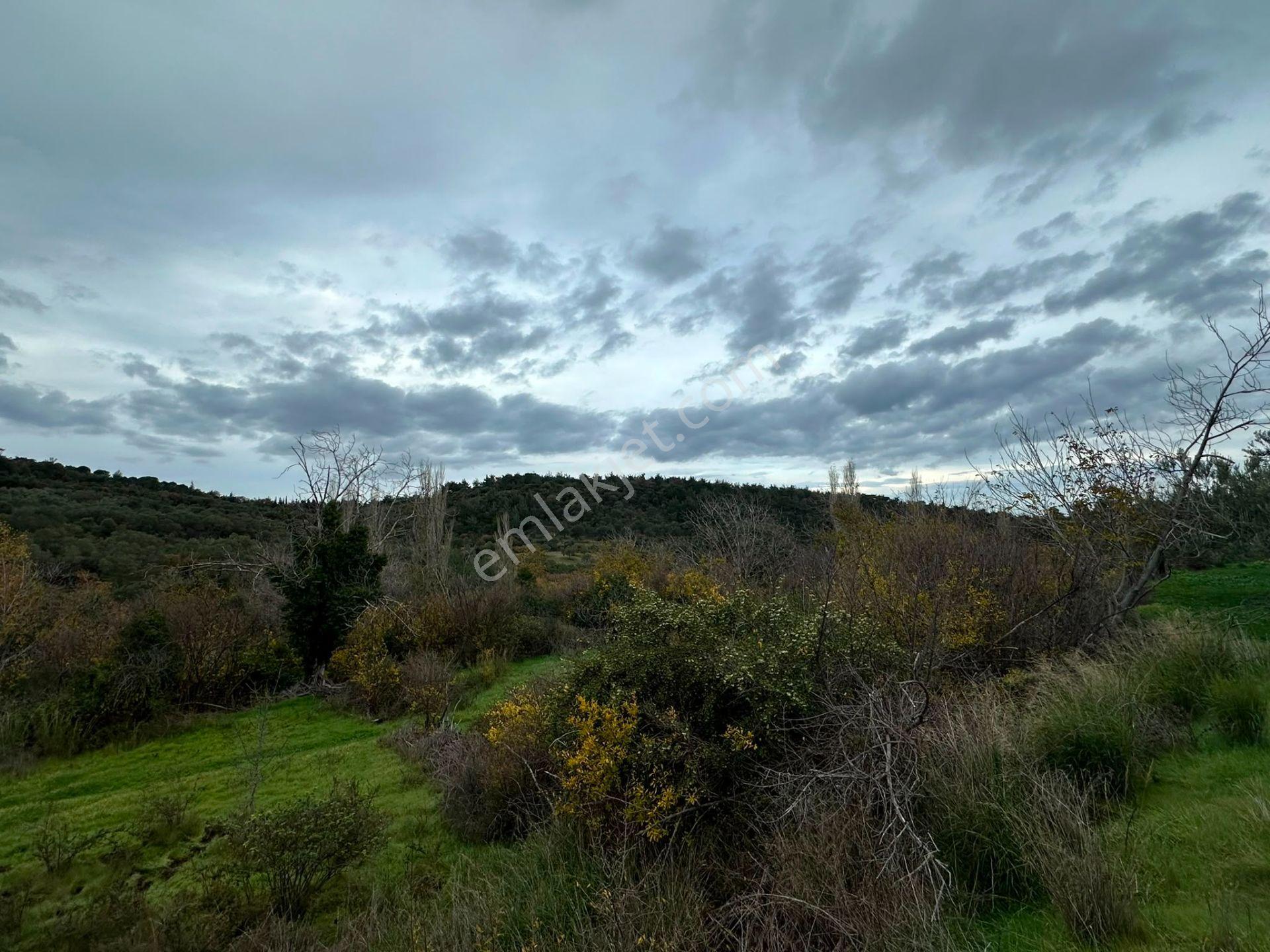 Bergama Koyunderede Satılık Tek Tapu 707 M2 Bahçe - Görsel 13