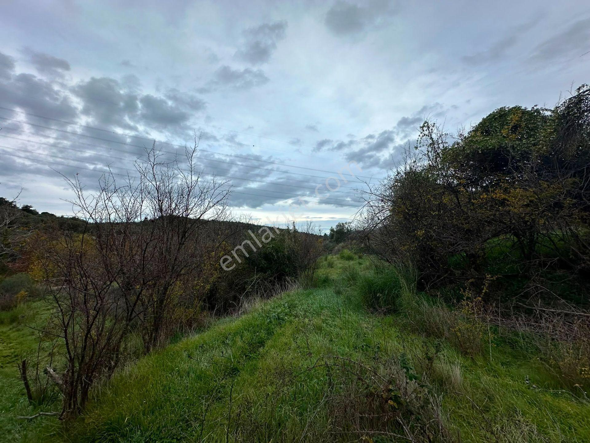 Bergama Koyunderede Satılık Tek Tapu 707 M2 Bahçe - Görsel 7