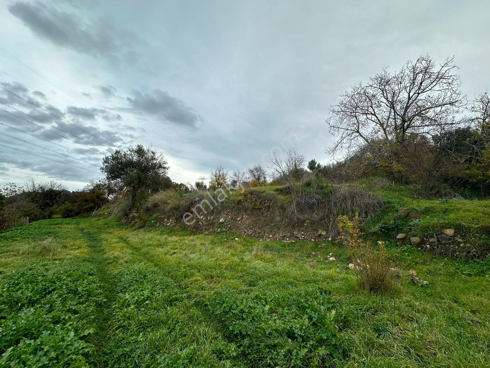 Bergama Koyunderede Satılık Tek Tapu 707 M2 Bahçe - Görsel 9
