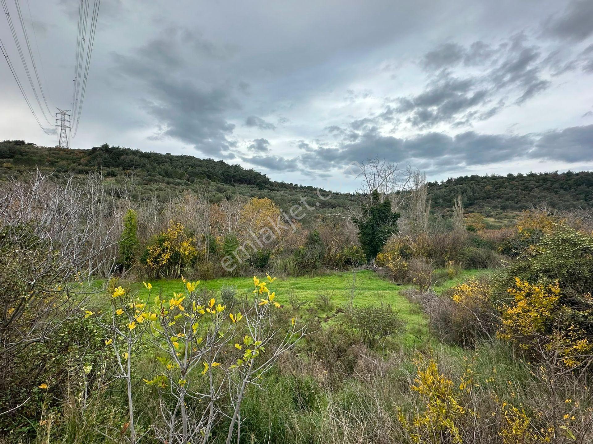 Bergama Koyunderede Satılık Tek Tapu 707 M2 Bahçe - Görsel 15