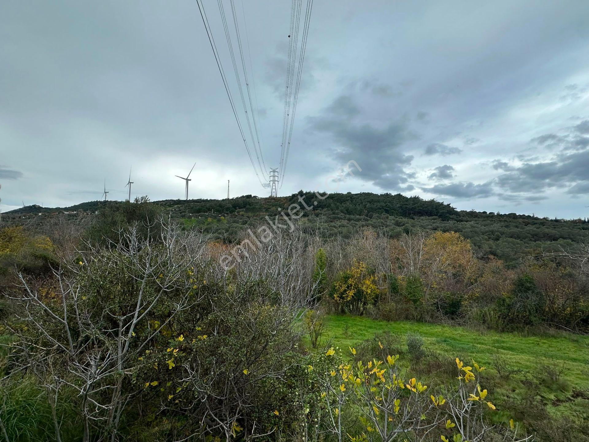 Bergama Koyunderede Satılık Tek Tapu 707 M2 Bahçe - Görsel 11