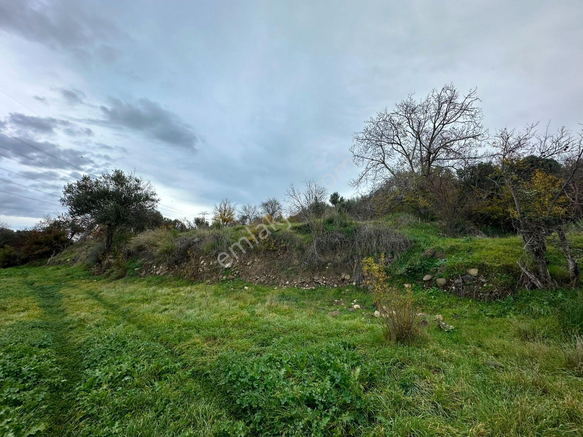 Bergama Koyunderede Satılık Tek Tapu 707 M2 Bahçe - Görsel 5