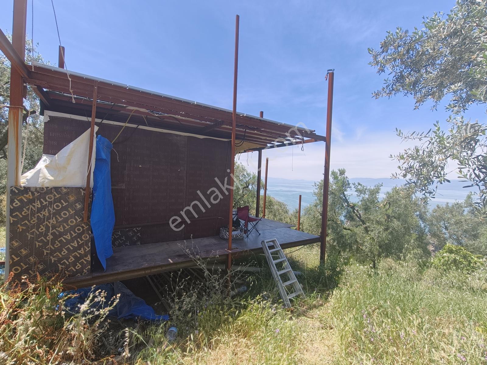 İznik Müşküle Köyünde Muhteşem Göl Manzaralı Zeytinlik - Görsel 24