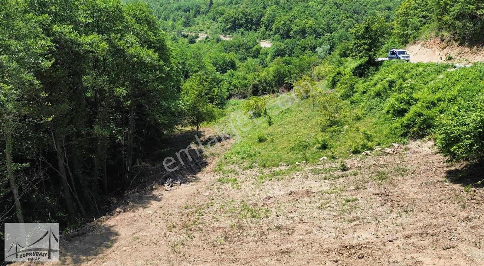 Köprübaşı Emlaktan Satılık %5 İmarlı 5804m2 Arazi - Görsel 6