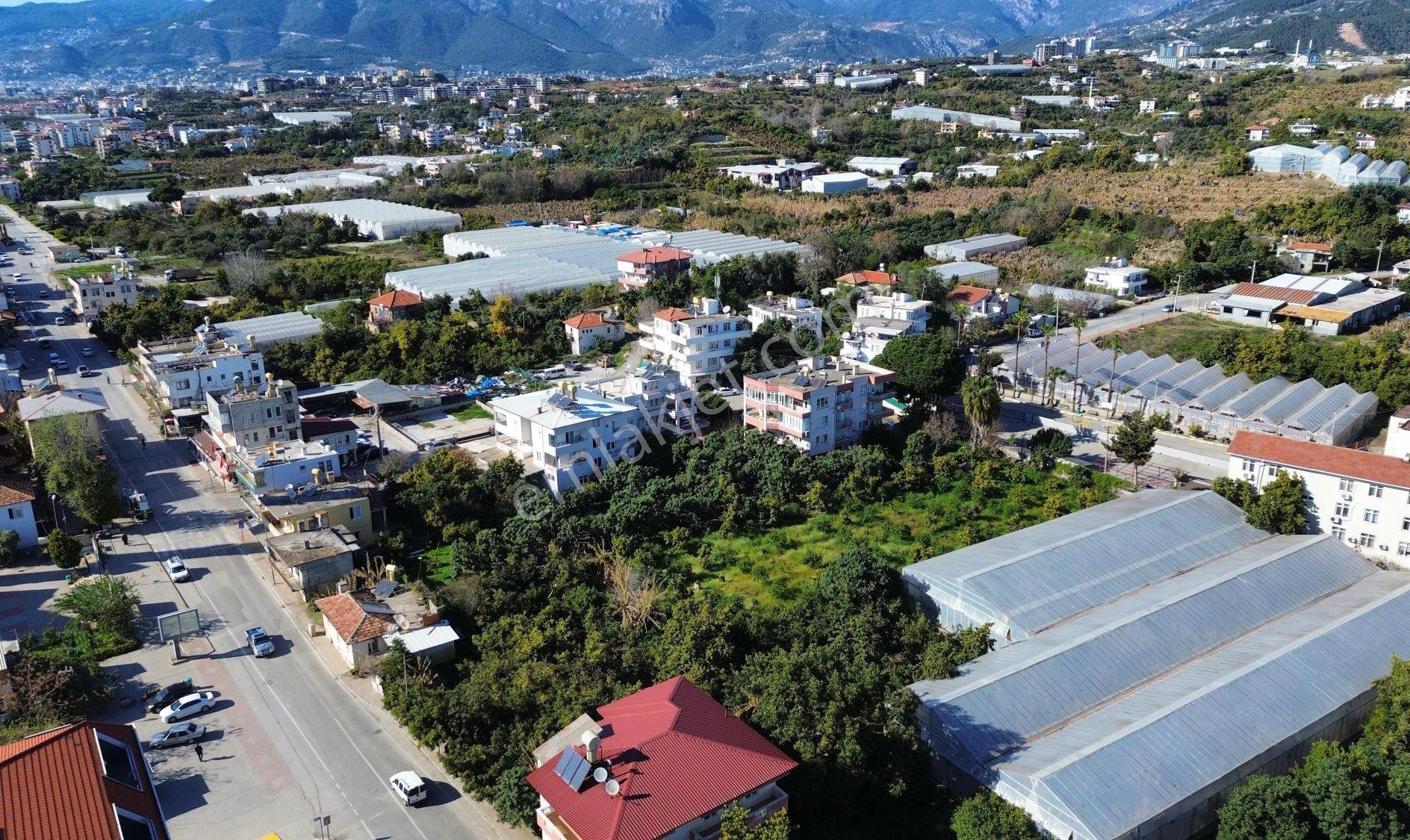 Kiralık 2+1 Daire - Görsel 6