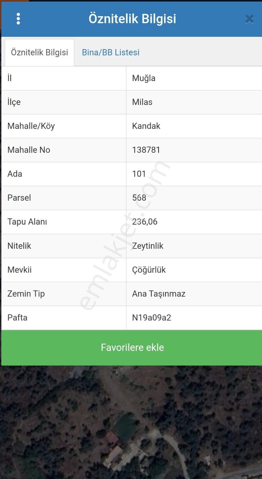 Muğla Milas Kandakta 236 M2 Zeytinlik - Görsel 2