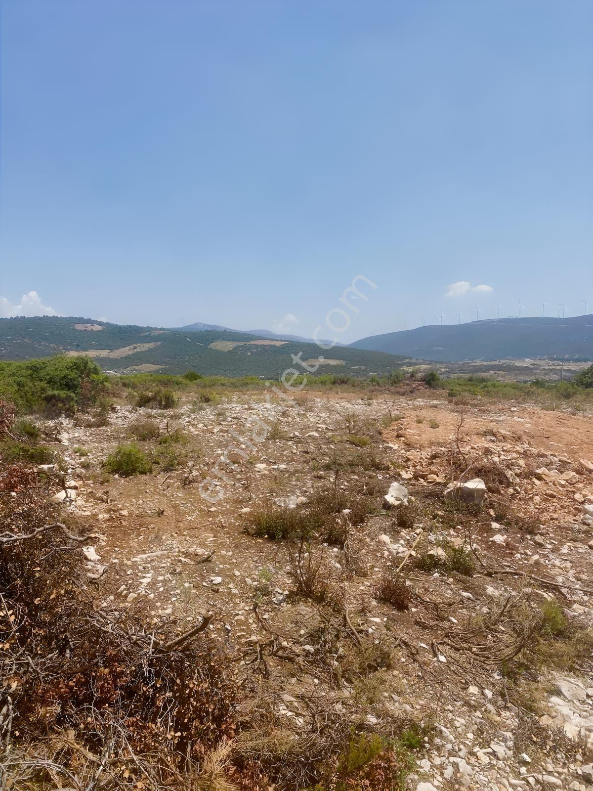 Göl Manzaralı Villa Arsası - Görsel 15