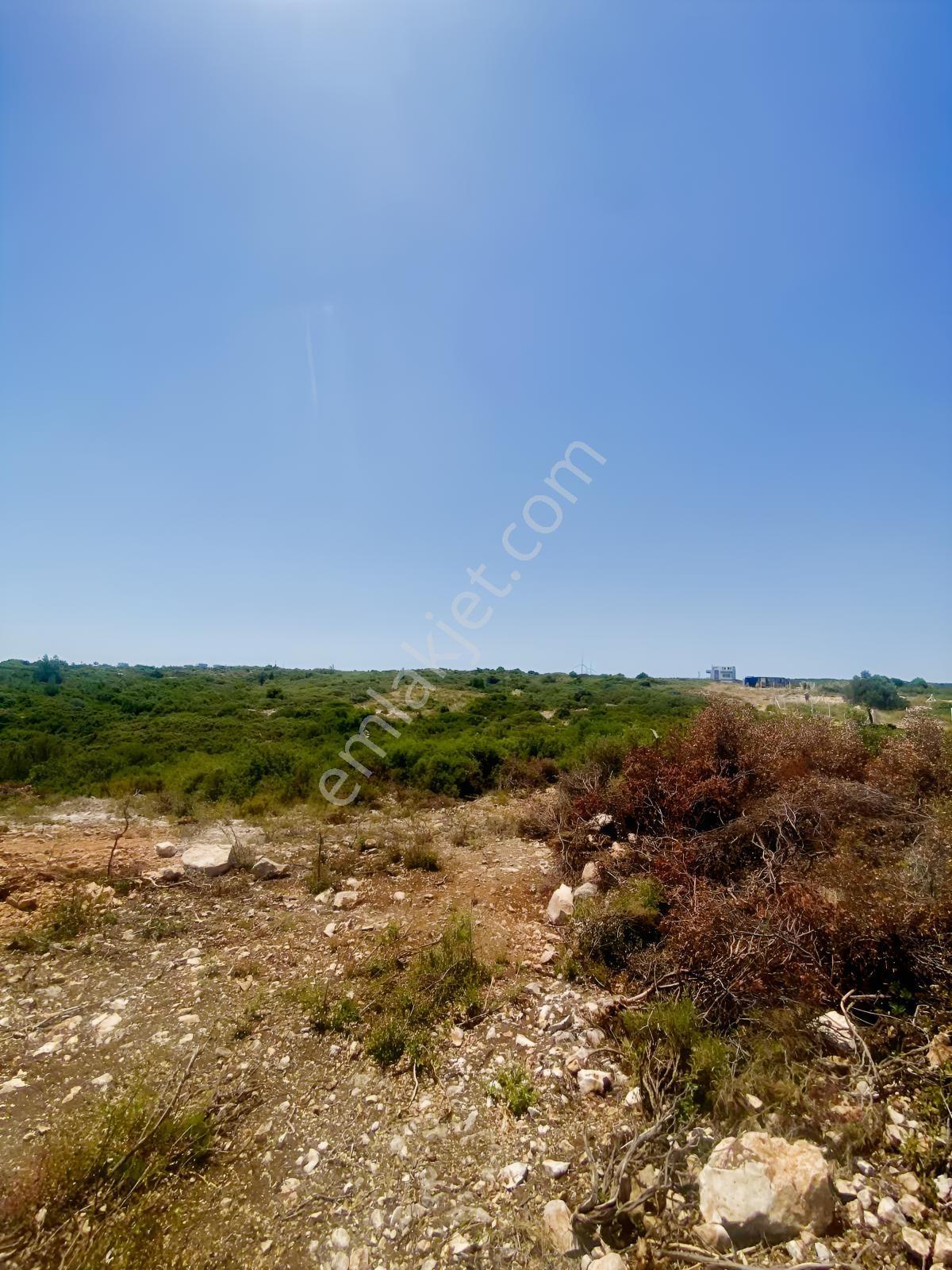 Göl Manzaralı Villa Arsası - Görsel 10