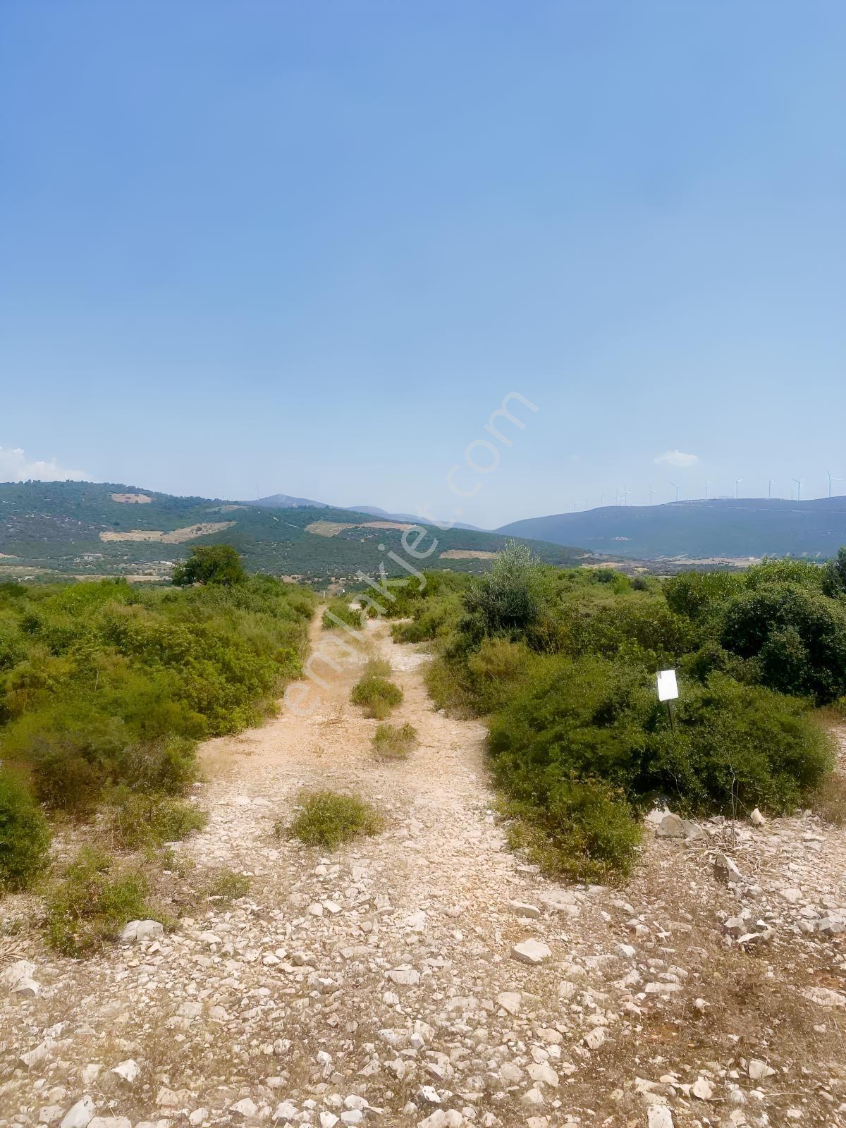 Göl Manzaralı Villa Arsası - Görsel 22