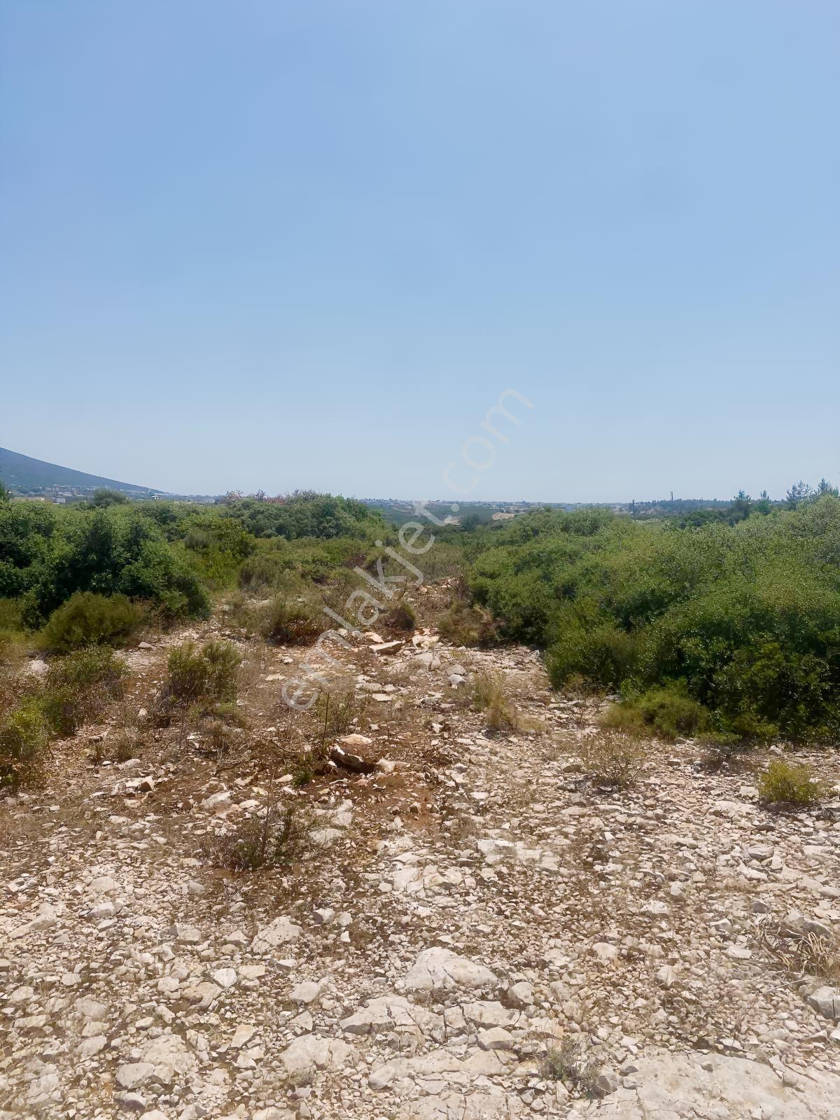 Göl Manzaralı Villa Arsası