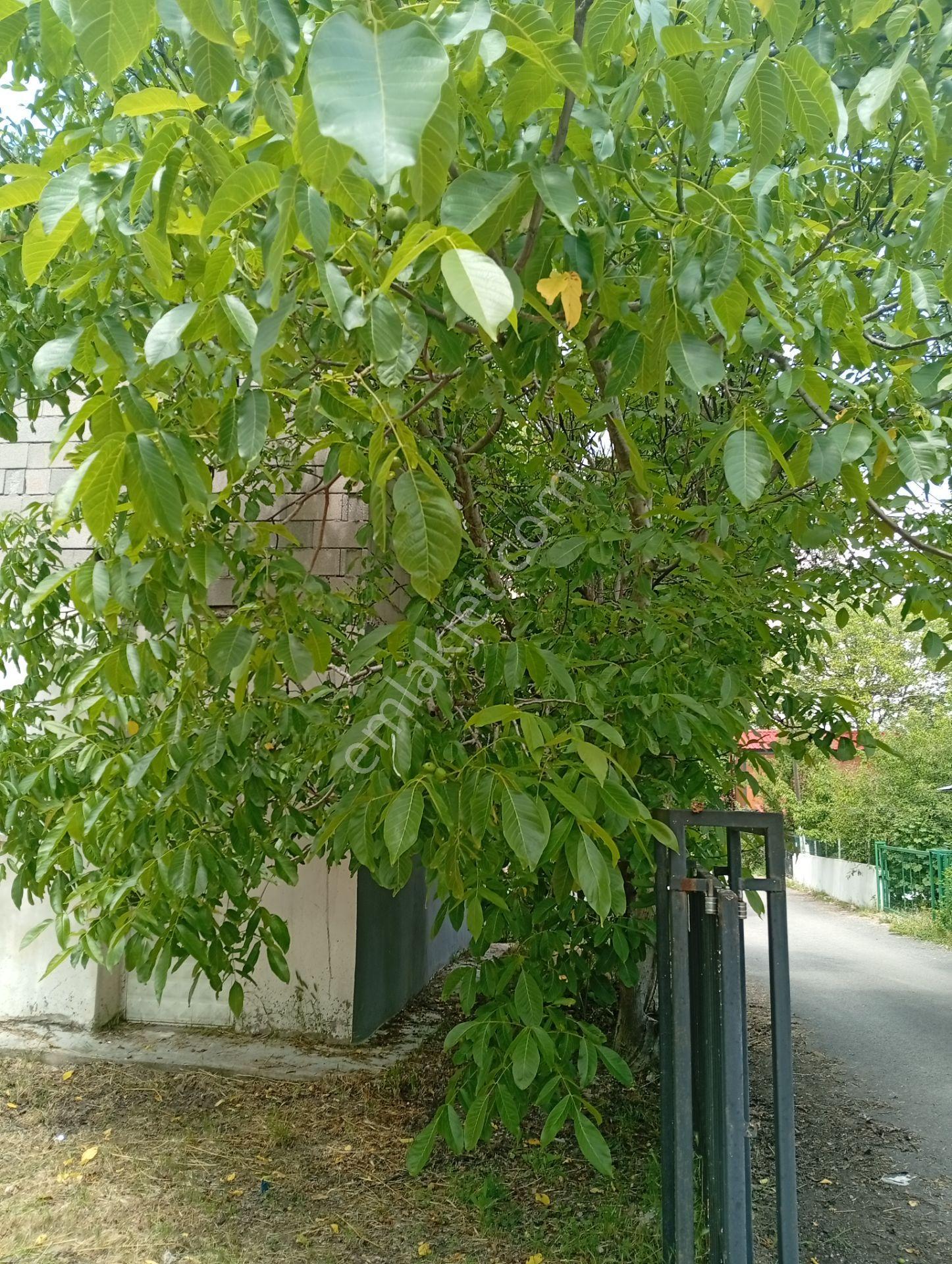 Satılık 2 Katlı Müstakil Ev - Görsel 29