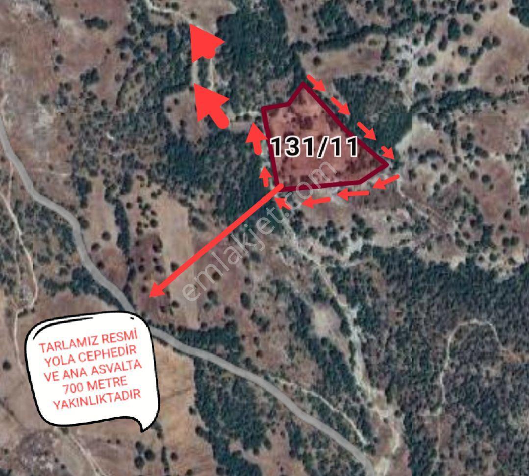 Balıkesir 11 Dönüm. 383 Mk Tektapu Resmi Yollu - Görsel 19