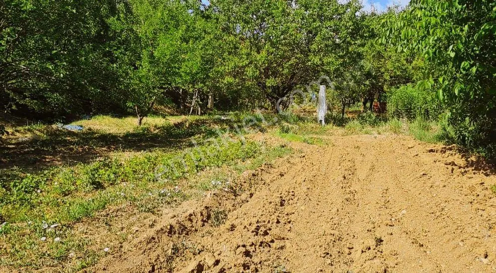 Balıkesir 11 Dönüm. 383 Mk Tektapu Resmi Yollu - Görsel 4