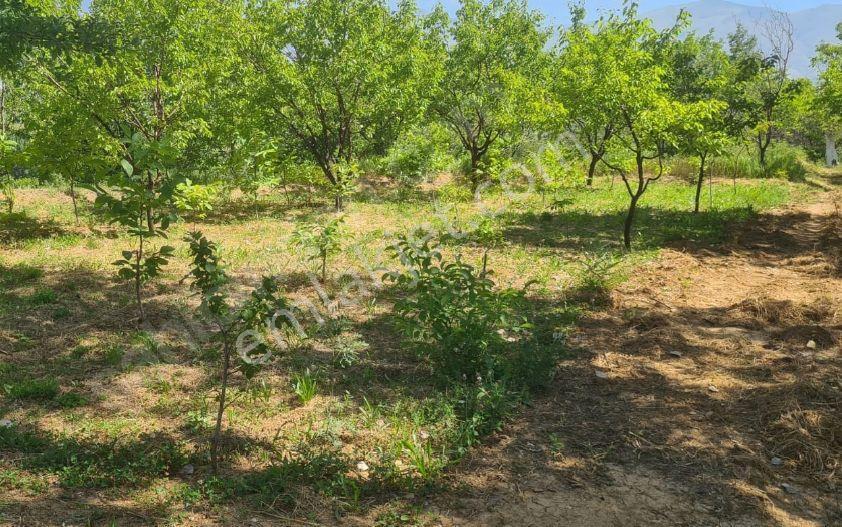 Balıkesir 11 Dönüm. 383 Mk Tektapu Resmi Yollu - Görsel 7