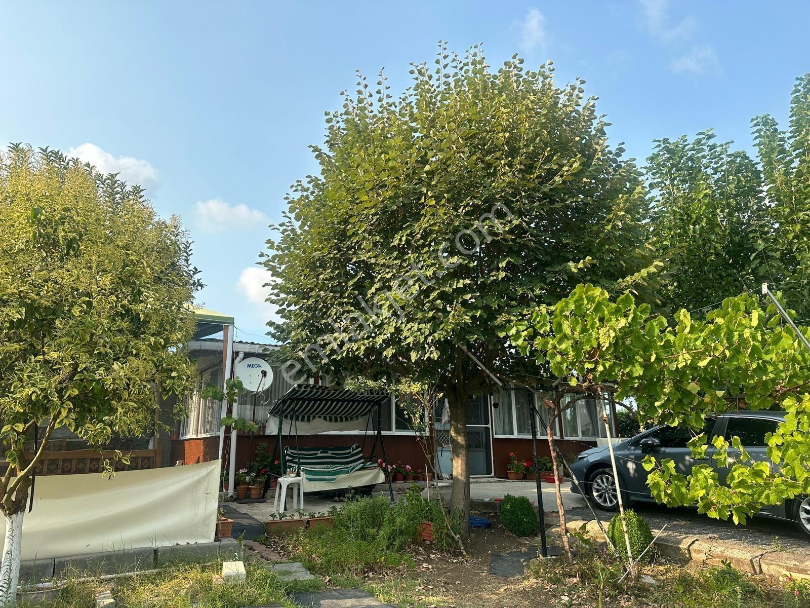 Çatalcada İmara Yakın 1750 M² Tarla Ve 100 M² Prefabrik Ev - Görsel 4
