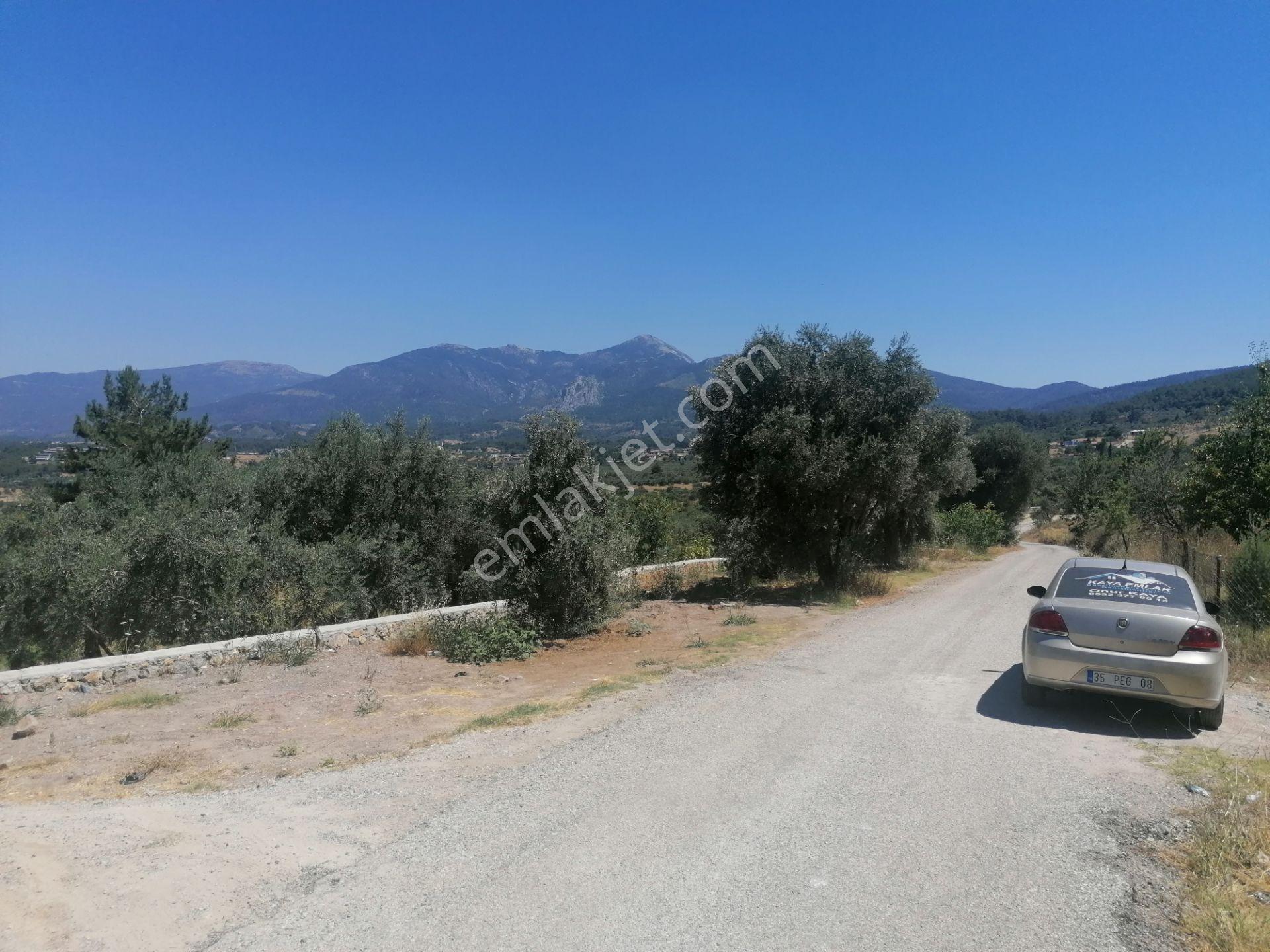 Kemalpaşanın Merkezine Yakın Tek Tapu 600m2 Satılık Bahçe - Görsel 9