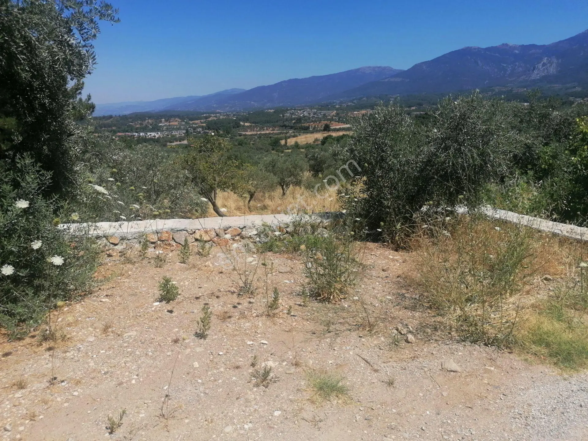 Kemalpaşanın Merkezine Yakın Tek Tapu 600m2 Satılık Bahçe - Görsel 5