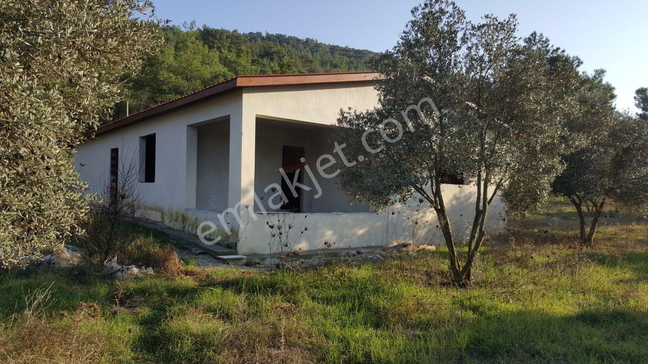 Kuşadası Yeniköy'de Doğa İle İç İçe Deniz Manzaralı Çiftlik - Görsel 9