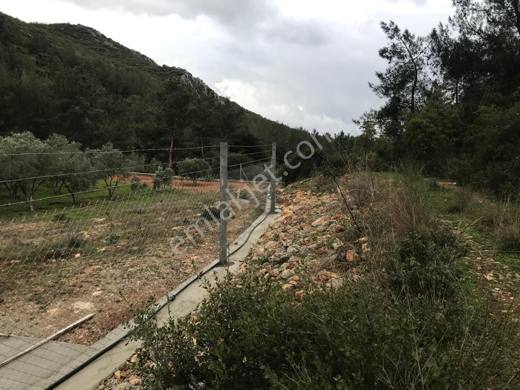 Kuşadası Yeniköy'de Doğa İle İç İçe Deniz Manzaralı Çiftlik - Görsel 35