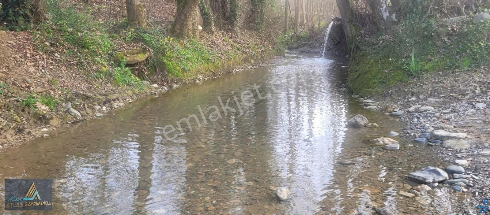 Mavi Atlas'tan Alaçam Karahüseyinli Satılık 2.600m2 Tarla - Görsel 6