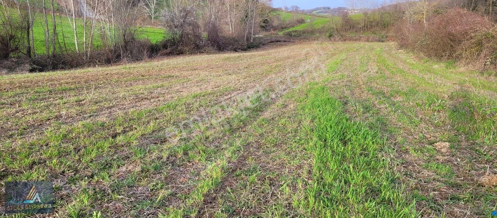 Mavi Atlas'tan Alaçam Karahüseyinli Satılık 2.600m2 Tarla - Görsel 10