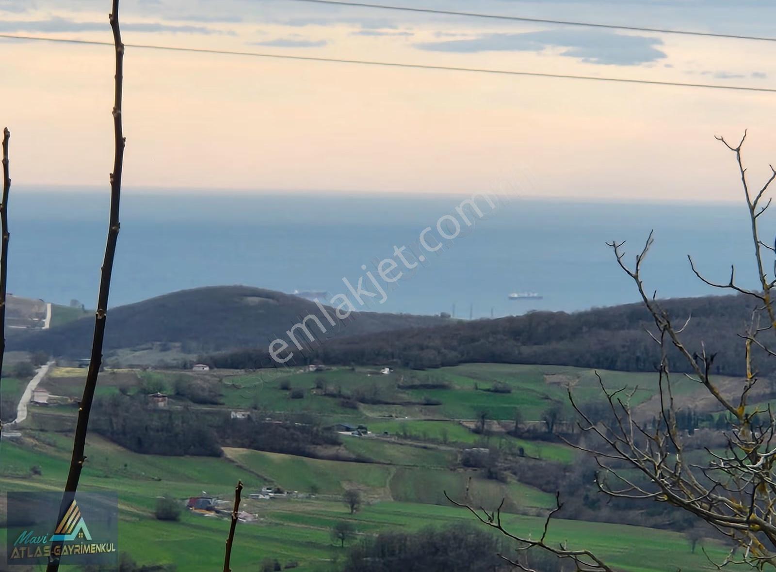 Mavi Atlas'tan Atakum Akalan Da Satılık 1501 M2 Tarla