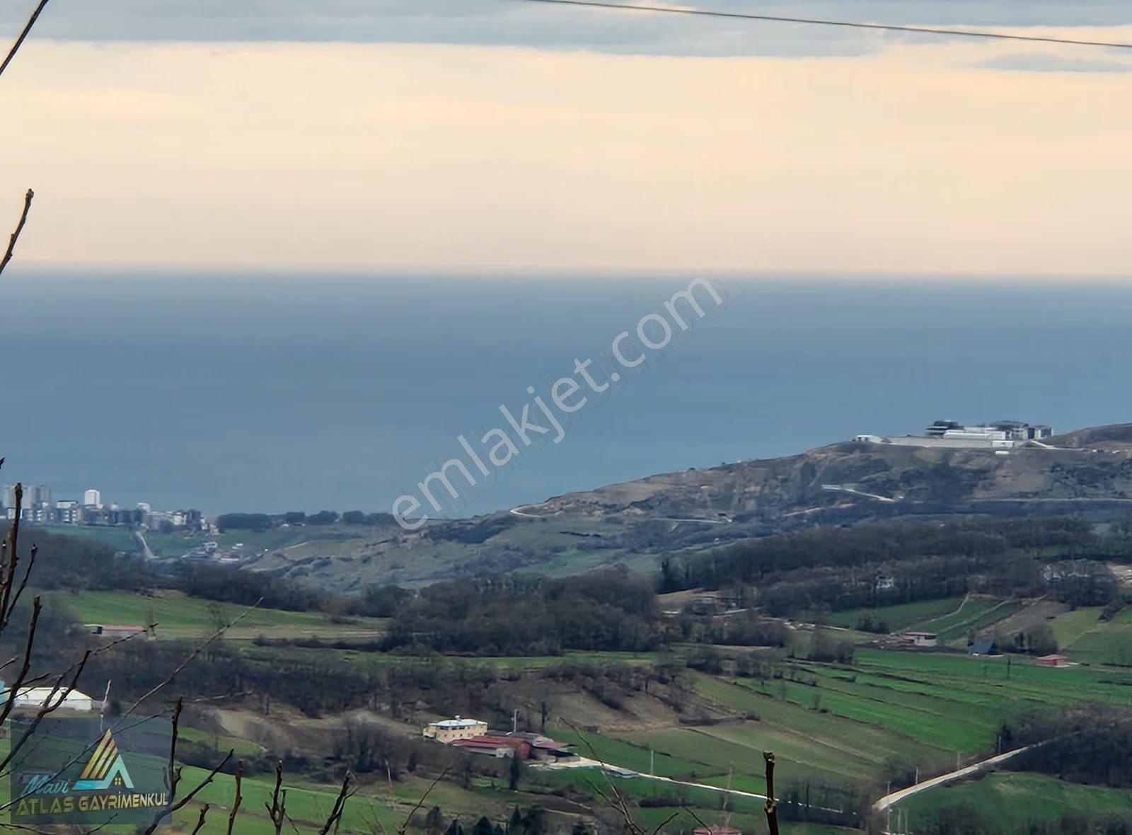 Mavi Atlas'tan Atakum Akalan Da Satılık 1501 M2 Tarla - Görsel 6