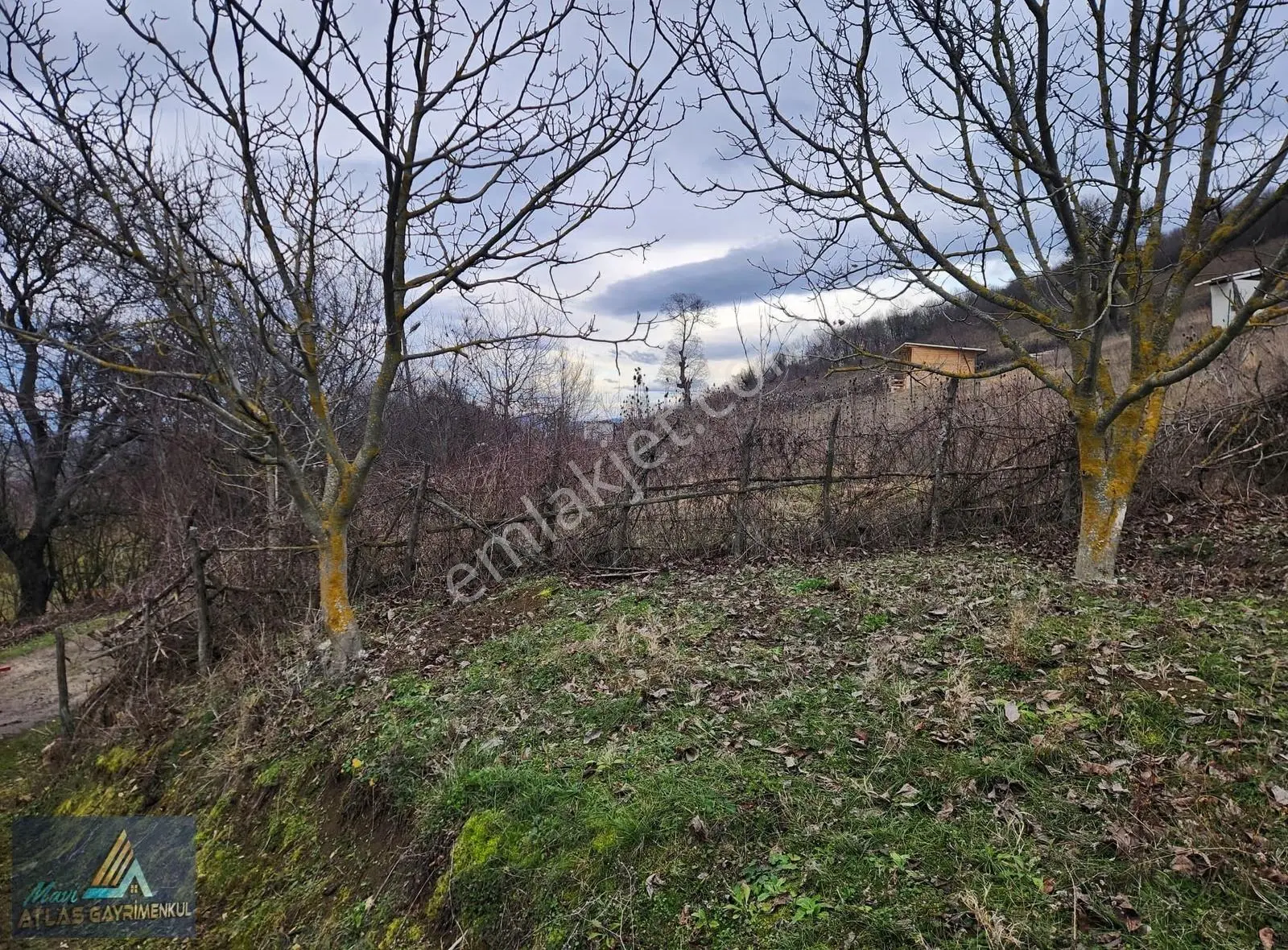 Mavi Atlas'tan Atakum Akalan Da Satılık 1501 M2 Tarla - Görsel 3