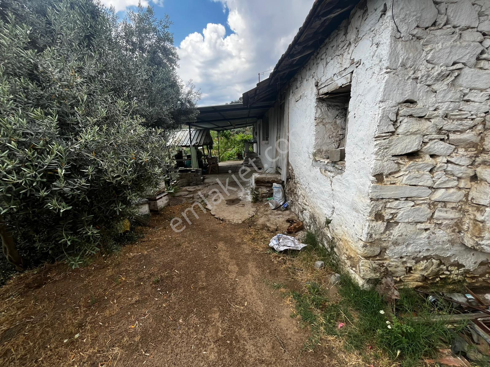 Aydın Efeler Gölcük Mahallesi'nde Satılık Gelir Getiren Çiftlik - Görsel 19