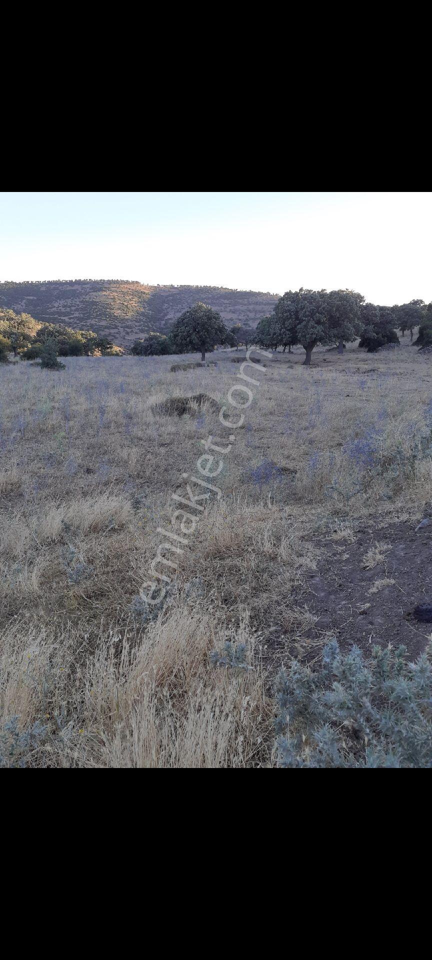 Koyuneli Mahallesi'nde Satılık Büyük Parsel Arazi - Görsel 6