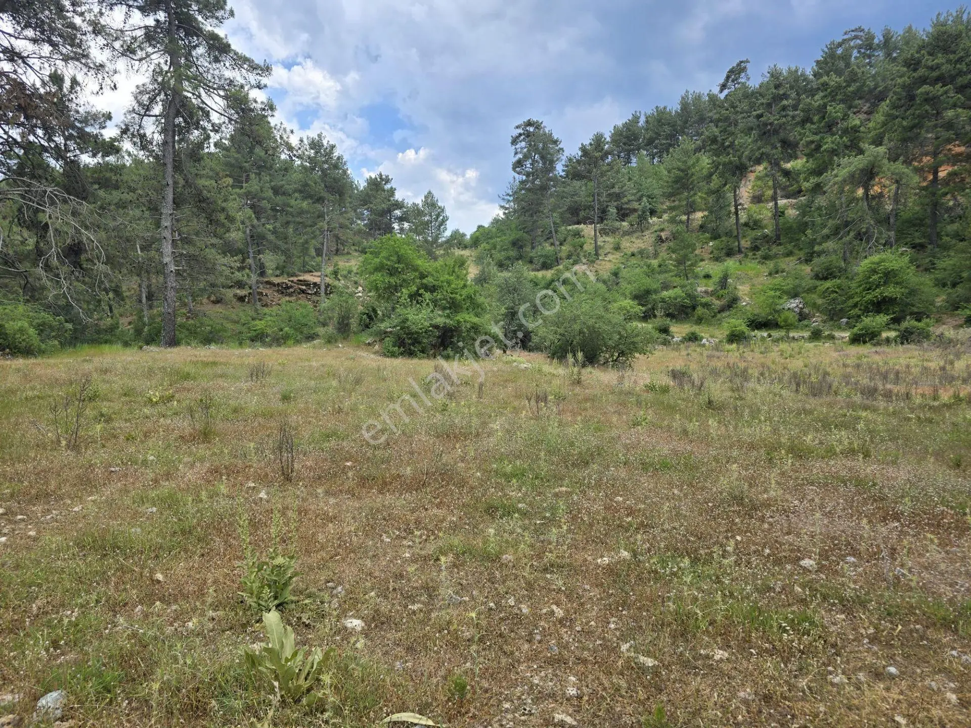 Milas / Ören Pinar Mahallesinde 1.660 M2 Düz Tarla - Görsel 2