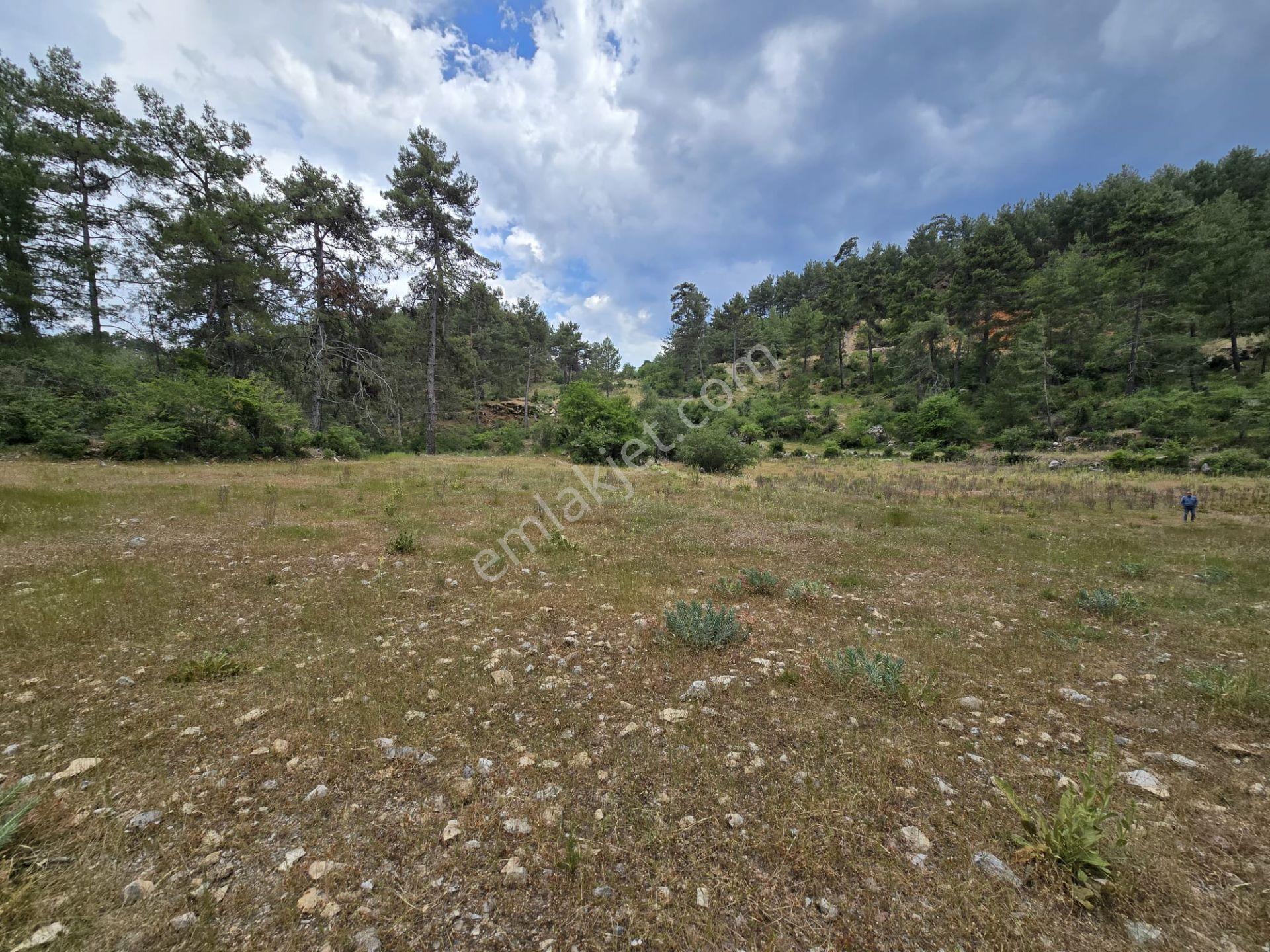 Milas / Ören Pinar Mahallesinde 1.660 M2 Düz Tarla
