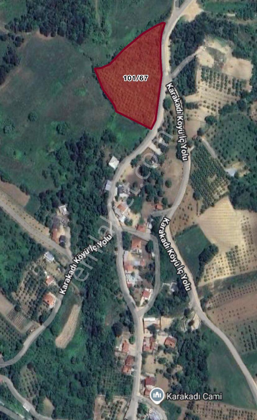 Roma ‘dan Karakadı ‘da Satılık Köy İmarlı Bahçe - Görsel 9