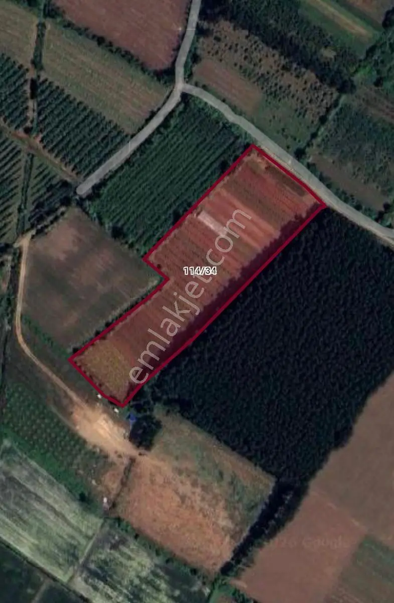 Truva/nazım'dan Çarşamba Yenikaracalı Satılık 16660m2 Tarla