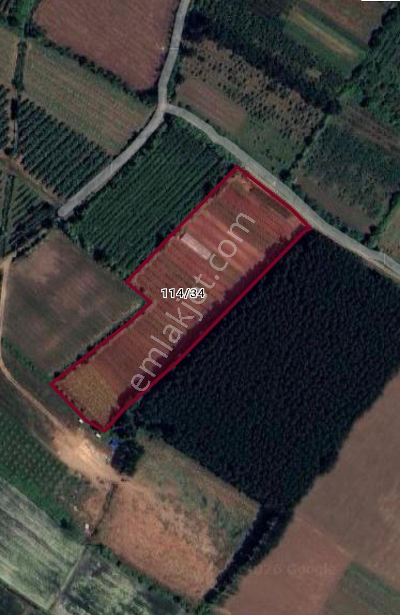 Truva/nazım'dan Çarşamba Yenikaracalı Satılık 16660m2 Tarla - Görsel 5