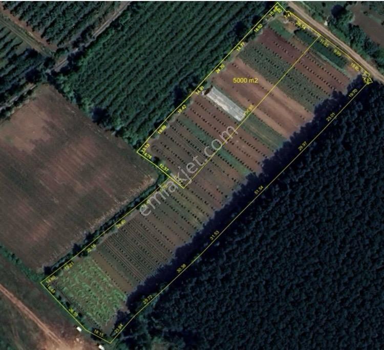 Truva/nazım'dan Çarşamba Yenikaracalı Satılık 16660m2 Tarla - Görsel 13