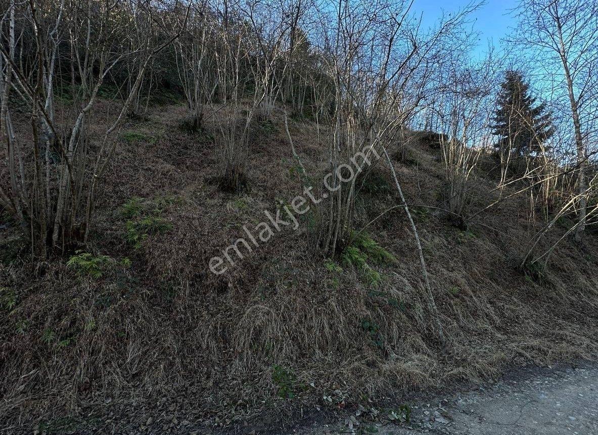 Trabzon Yenimahalle Arsin Satılık Arsa - Görsel 4
