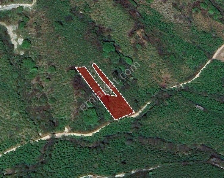 Trabzon Yenimahalle Arsin Satılık Arsa
