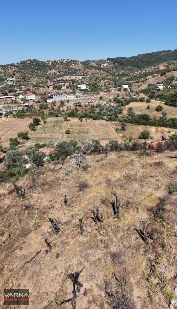 Varna Dan Orhanlı Da 1000 M2 Tek Müstakil Tapu Mükemmel Yer - Görsel 11