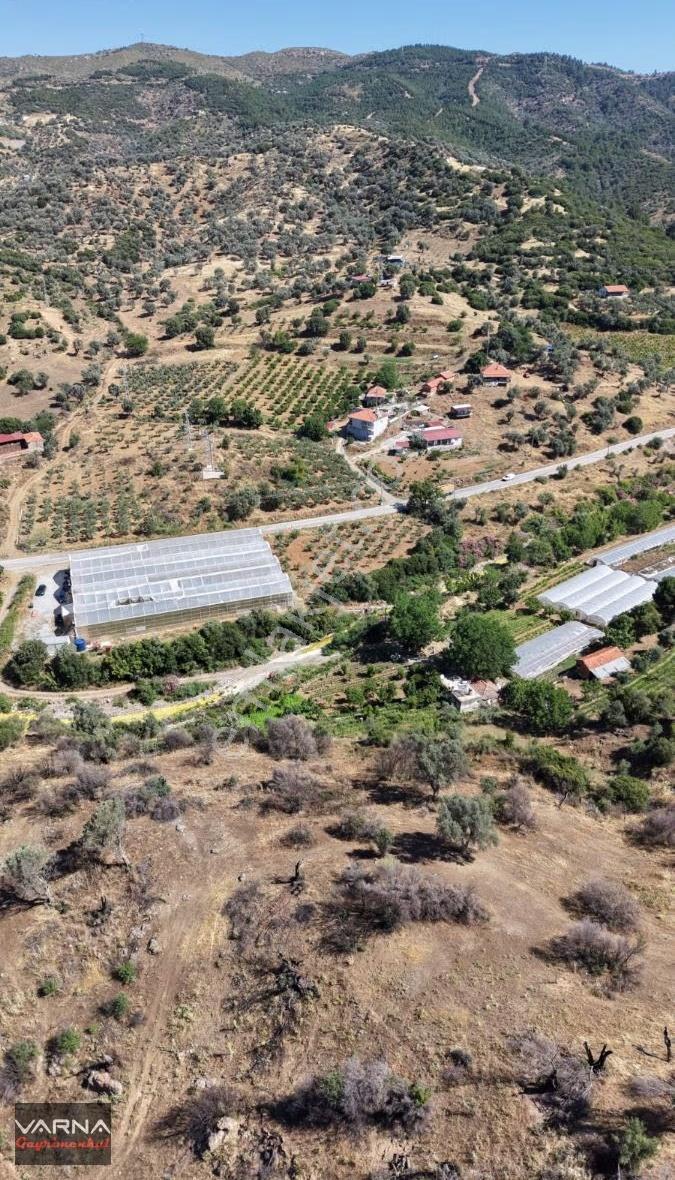 Varna Dan Orhanlı Da 1000 M2 Tek Müstakil Tapu Mükemmel Yer - Görsel 20