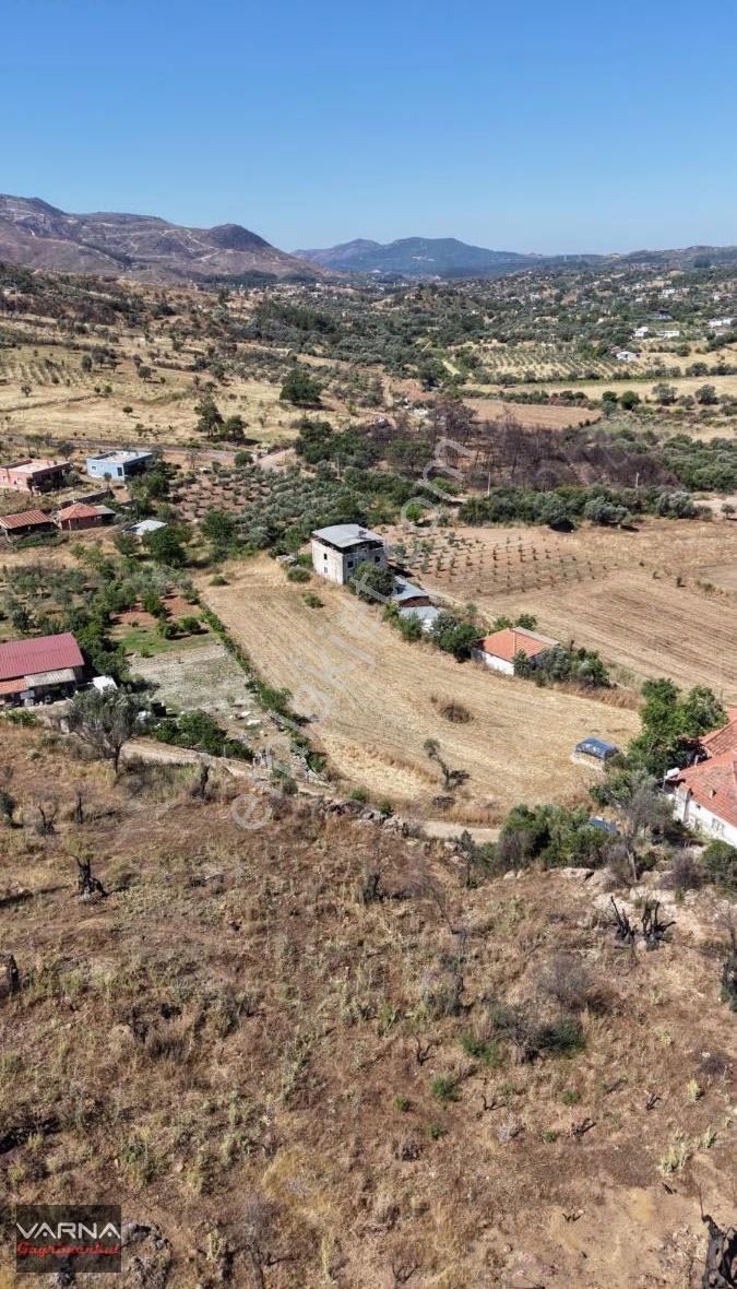 Varna Dan Orhanlı Da 1000 M2 Tek Müstakil Tapu Mükemmel Yer - Görsel 7