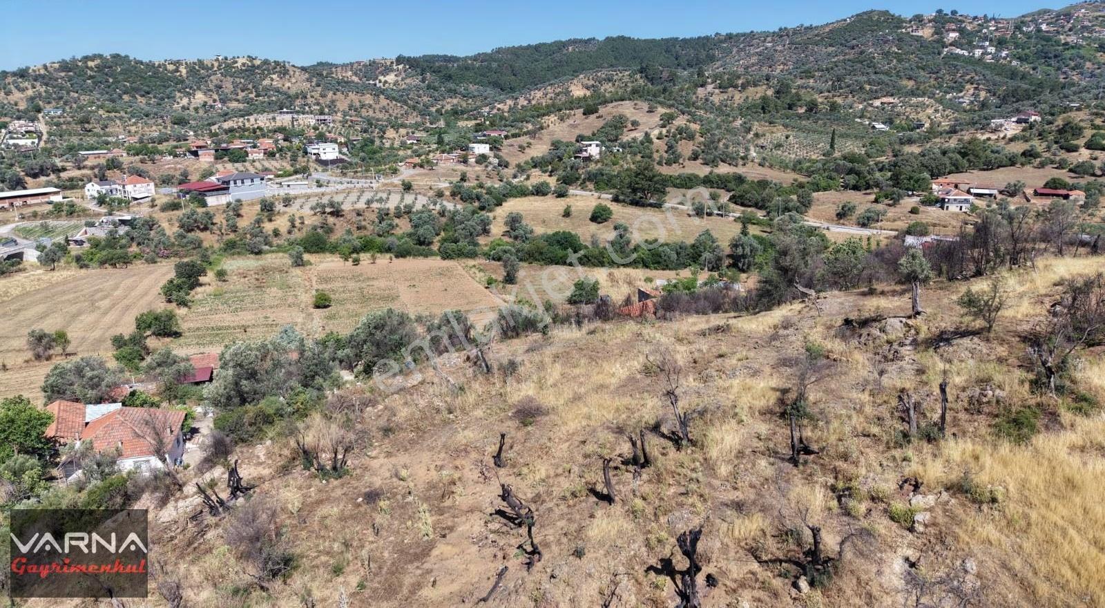 Varna Dan Orhanlı Da 1000 M2 Tek Müstakil Tapu Mükemmel Yer - Görsel 17