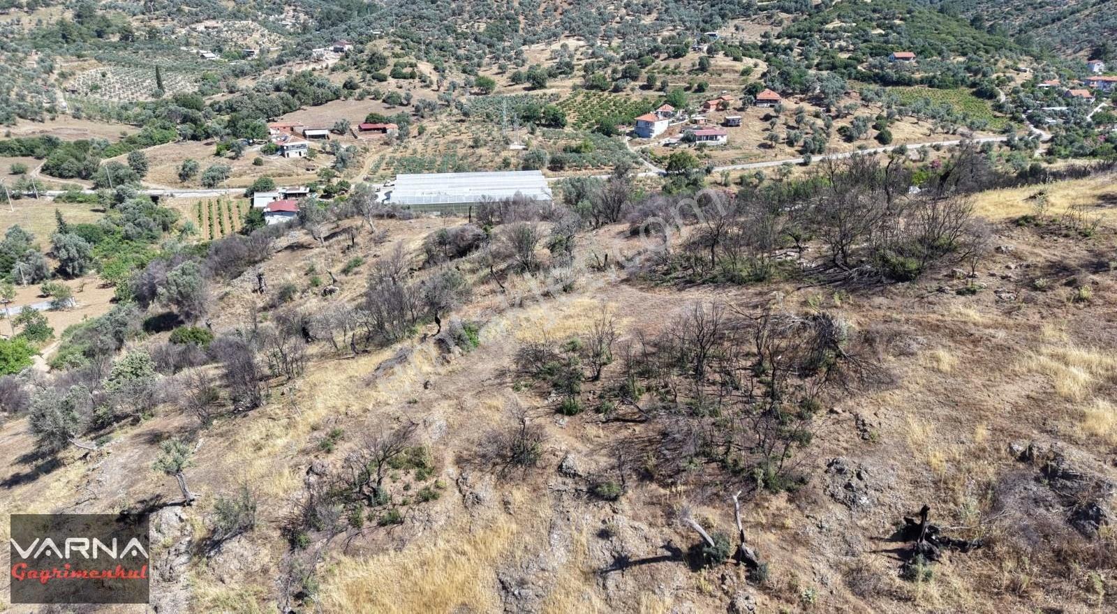 Varna Dan Orhanlı Da 1000 M2 Tek Müstakil Tapu Mükemmel Yer - Görsel 14