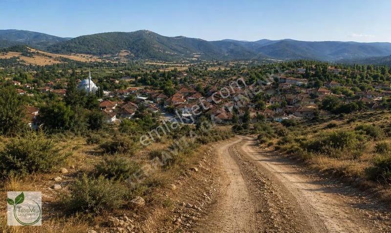 Balıkesir Sındırgı Çamalanı Mahallesinde Satılık Arsa - Görsel 4