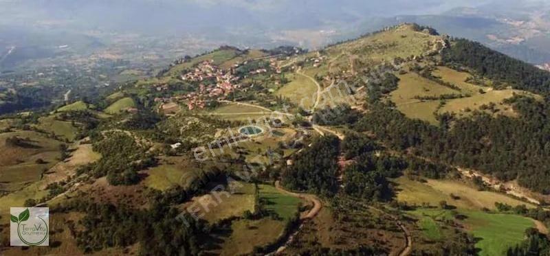 Balıkesir Sındırgı Çamalanı Mahallesinde Satılık Arsa - Görsel 8