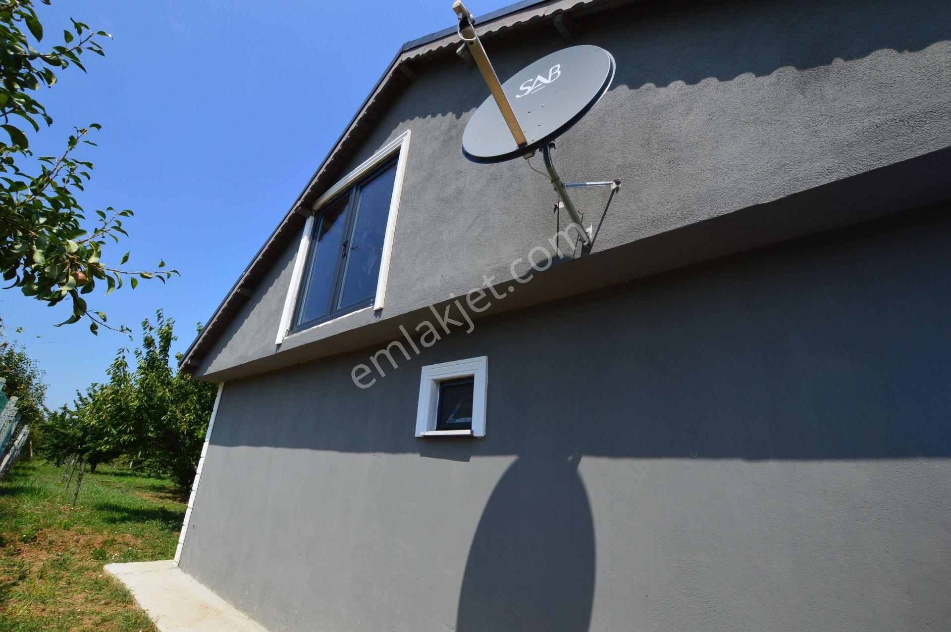 Acil Satılık - 1.867 M² Meyve Bahçesi - Full Eşyalı Müstakil Ev - Görsel 6