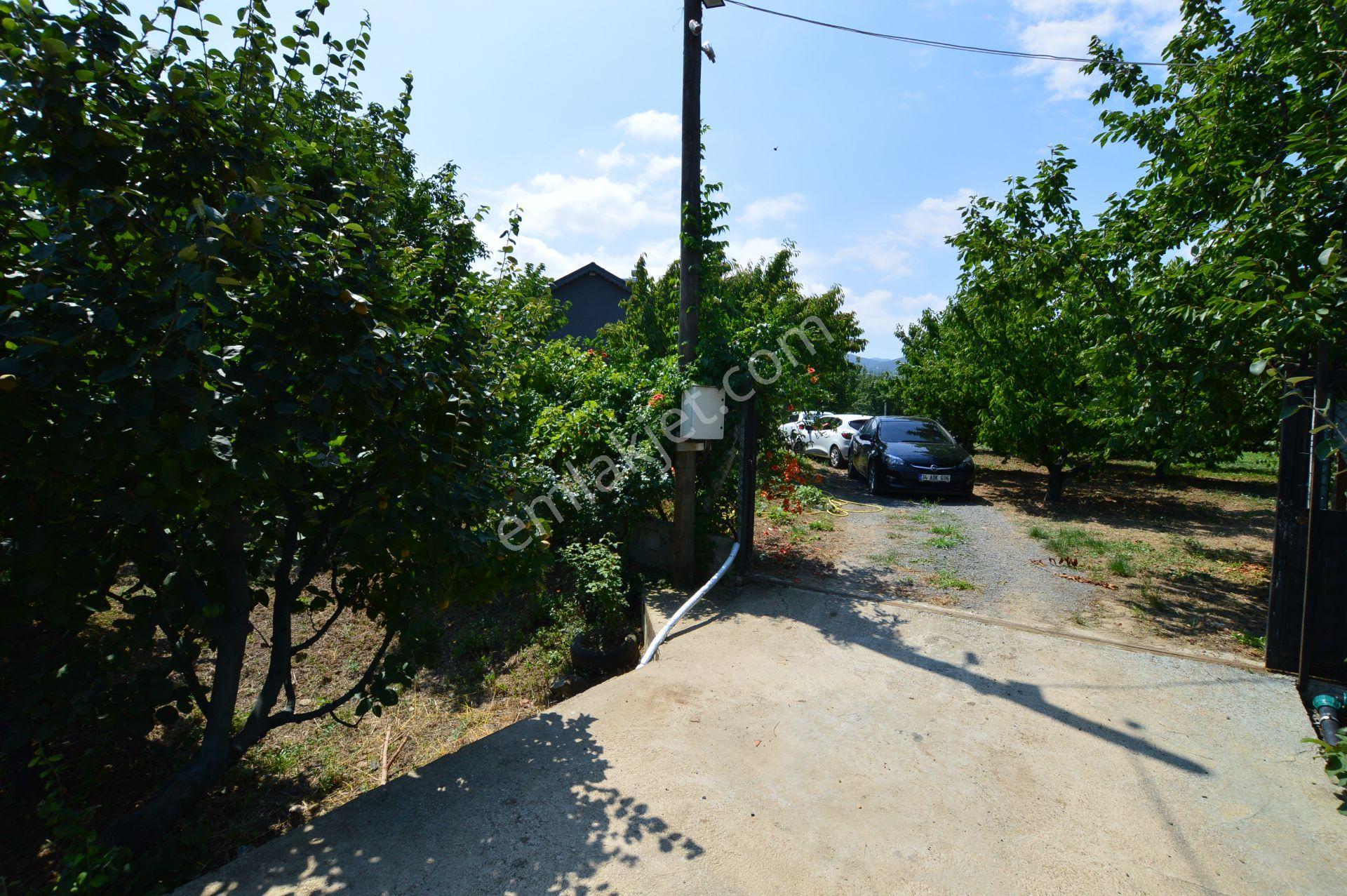 Acil Satılık - 1.867 M² Meyve Bahçesi - Full Eşyalı Müstakil Ev - Görsel 26